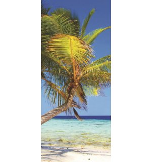 Foto tapeta: Plaža sa palmom - 211x91 cm