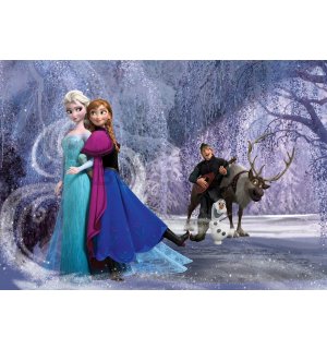 Foto tapeta: Frozen (7) - 104x152,5 cm