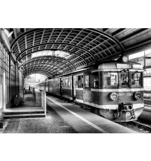 Foto tapeta Vlies: Stara podzemna željeznica (crno-bijela) - 254x368 cm