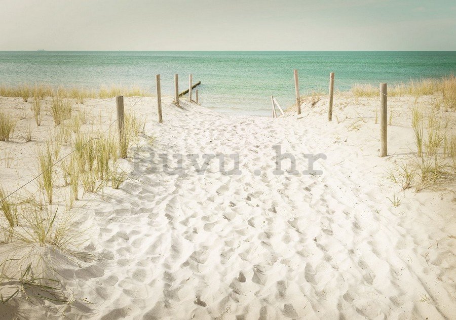 Foto tapeta Vlies: Put na plažu (11) - 254x368 cm