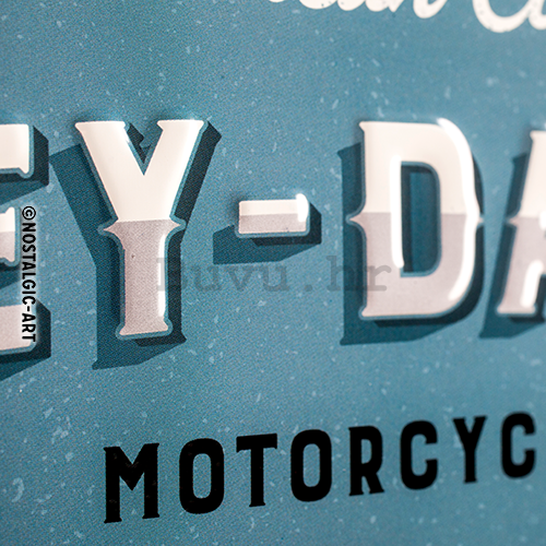 Metalna tabla: Harley-Davidson (Free Spirit Riders) - 30x40 cm