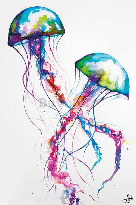 Poster - Jellyfish, Marc Allante