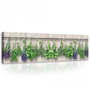 Slika na platnu: Lavanda i biljke - 145x45 cm