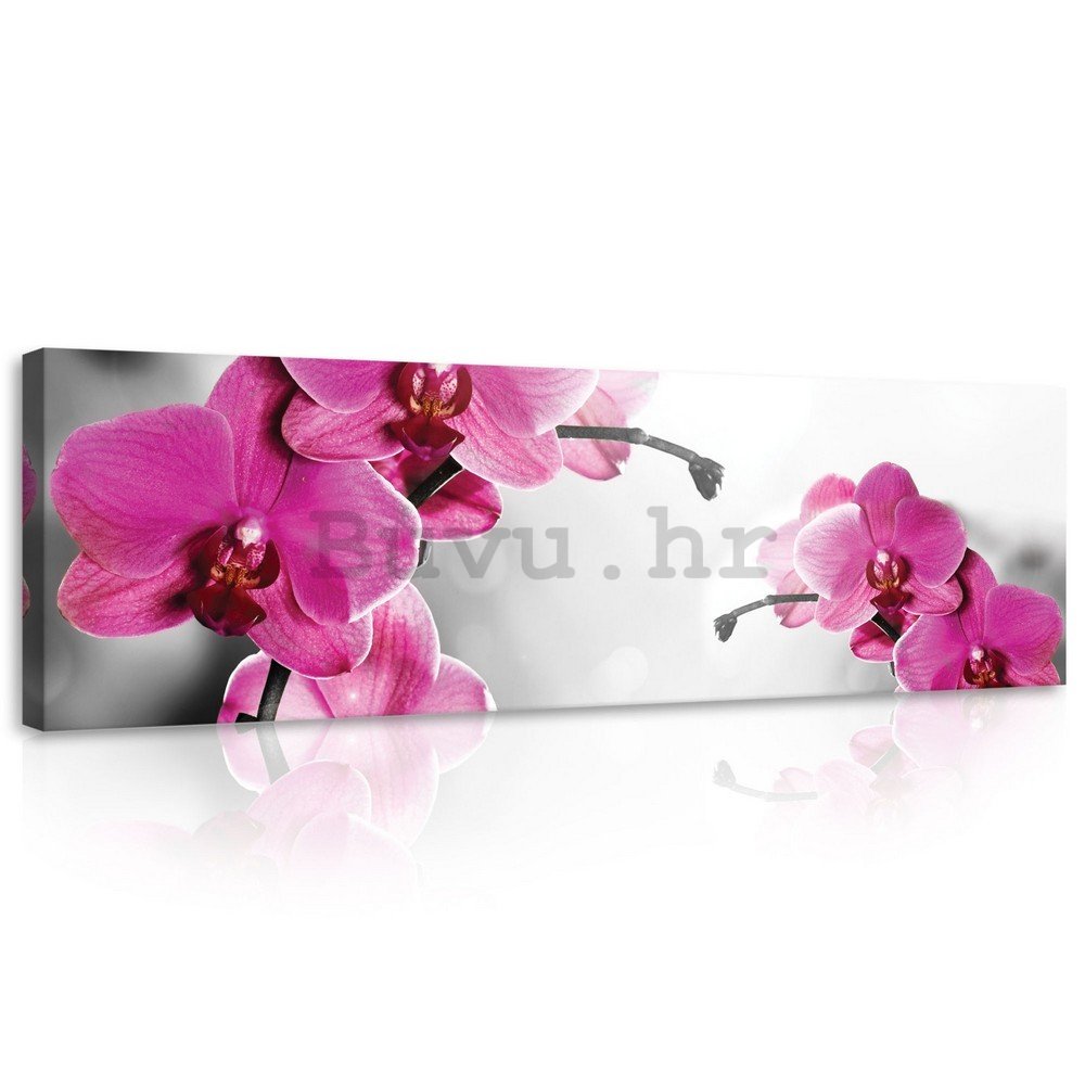 Slika na platnu: Orhideja (4) - 145x45 cm