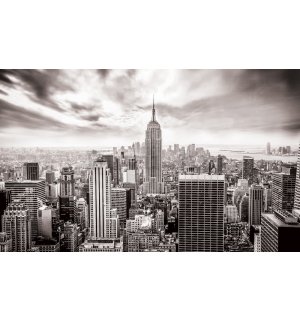 Foto tapeta: Pogled na New York (crno-bijela) - 104x152,5 cm