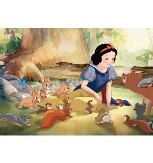Foto tapeta: Snjeguljica i sedam patuljaka (Snow White) - 104x152,5 cm