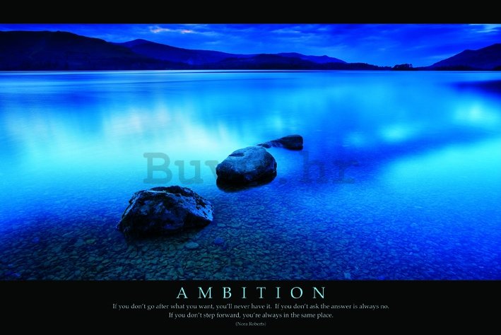 Poster - Ambition (2)
