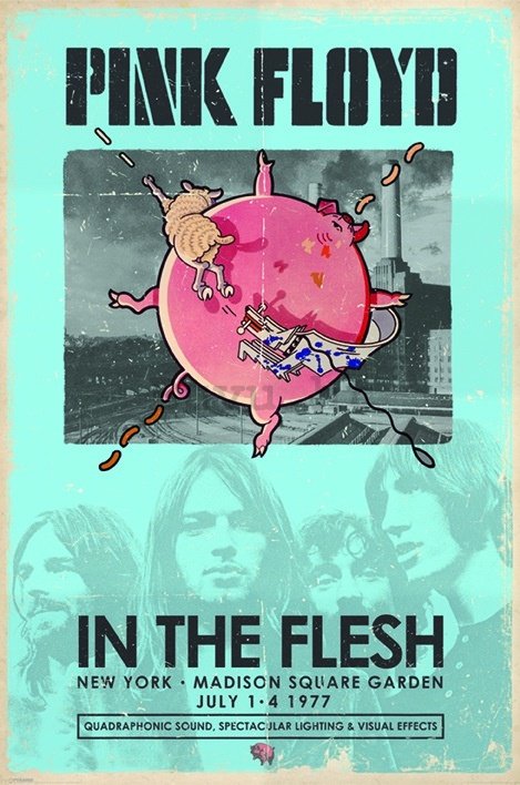 Poster - Pink Floyd (In The Flesh)