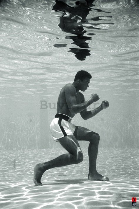 Poster - Ali (Underwater)