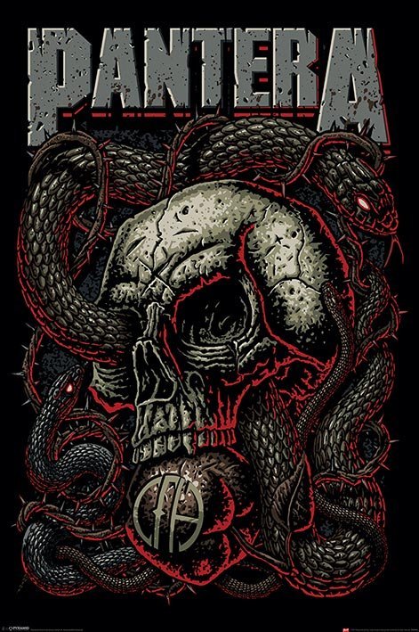 Poster - Pantera (Snake Eye)