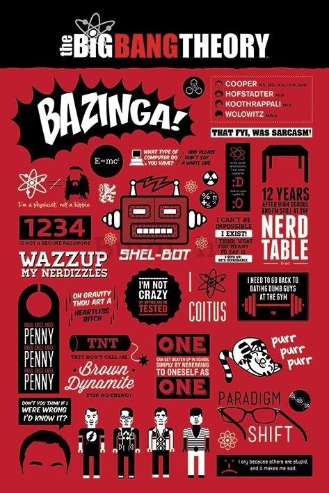 Poster - The Big Bang Theory (Infografika)