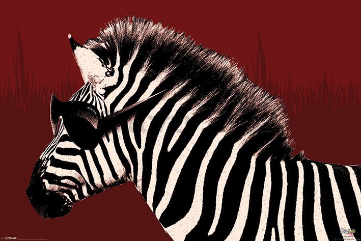 Poster - Troy (zebra)