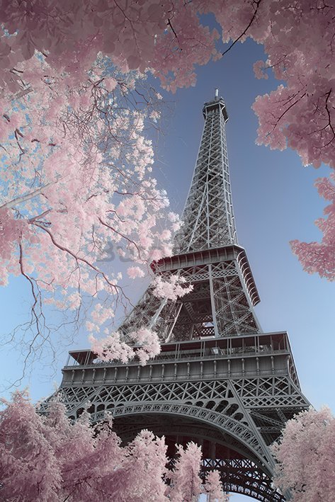 Poster - Eiffelov toranj, David Clapp