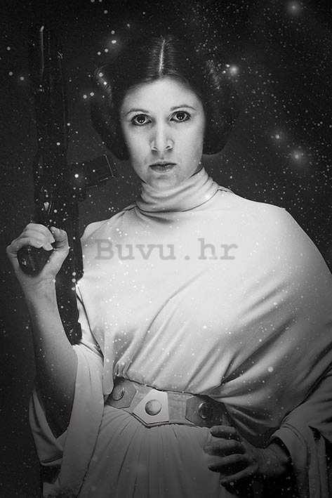 Poster - Star Wars princeza Leia (1)