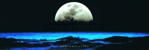 Poster - Contemplation