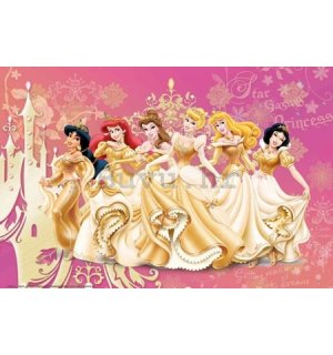 Poster - Disney Princess