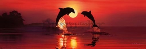 Poster - Lassen dolphin dawn (2)