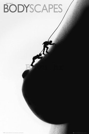 Poster - Bodyscape climbers