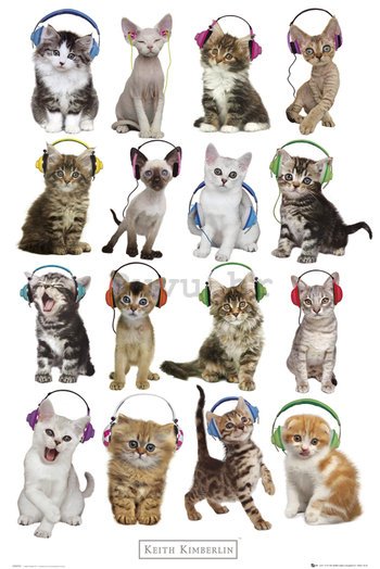 Poster - Mačke sa slušalicama, Keith Kimberlin