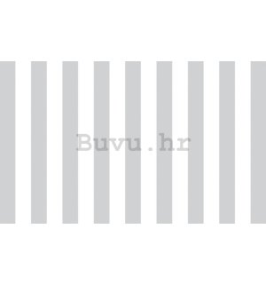Foto tapeta: Sivo-bijele trake (1) - 254x368 cm
