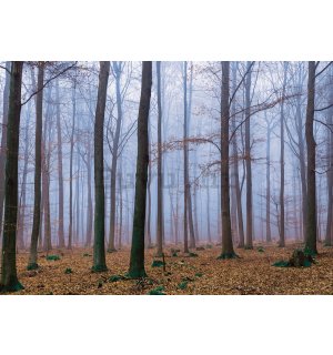 Foto tapeta: Magla u šumi (1) - 184x254 cm
