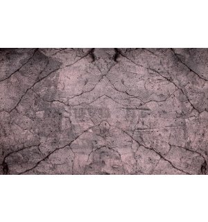 Foto tapeta: Kameni zid (6) - 184x254 cm