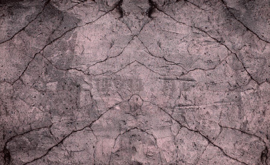 Foto tapeta: Kameni zid (6) - 254x368 cm