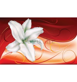 Foto tapeta: Šareno cvijeće (3) - 254x368 cm