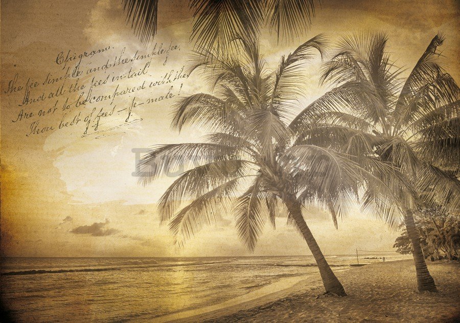 Foto tapeta: Plaža (Vintage) - 184x254 cm