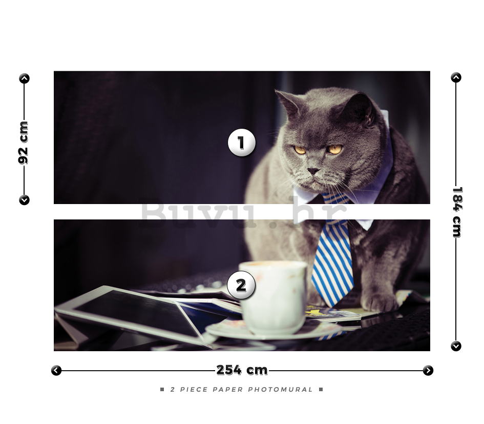 Foto tapeta: Mačka (menadžer) - 184x254 cm
