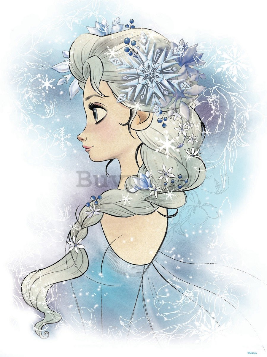 Foto tapeta: Frozen Elsa (1) - 254x184 cm