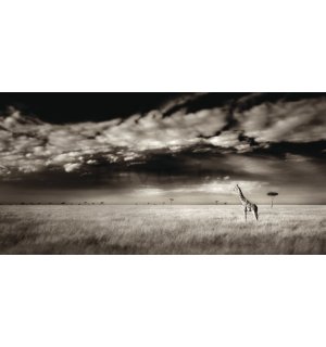 Slika na platnu - Ian Cumming, Masai Mara Giraffe