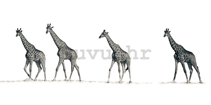 Slika na platnu - Mario Moreno, The Giraffes