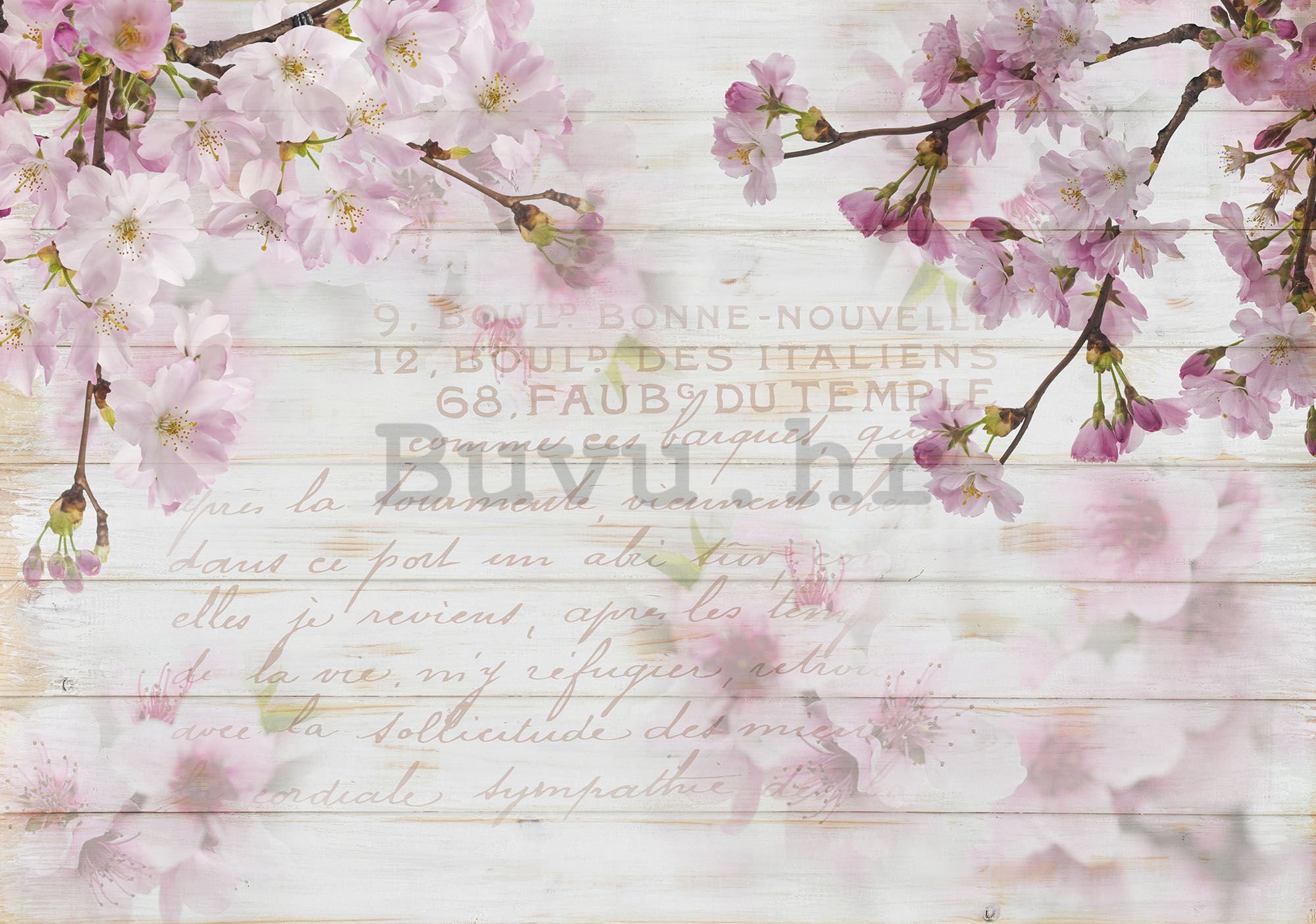 Vlies foto tapeta: Trešnjin cvijet (1) - 184x254 cm