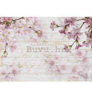 Vlies foto tapeta: Trešnjin cvijet (1) - 254x368 cm