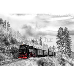 Vlies foto tapeta: Parna lokomotiva (2) - 184x254 cm