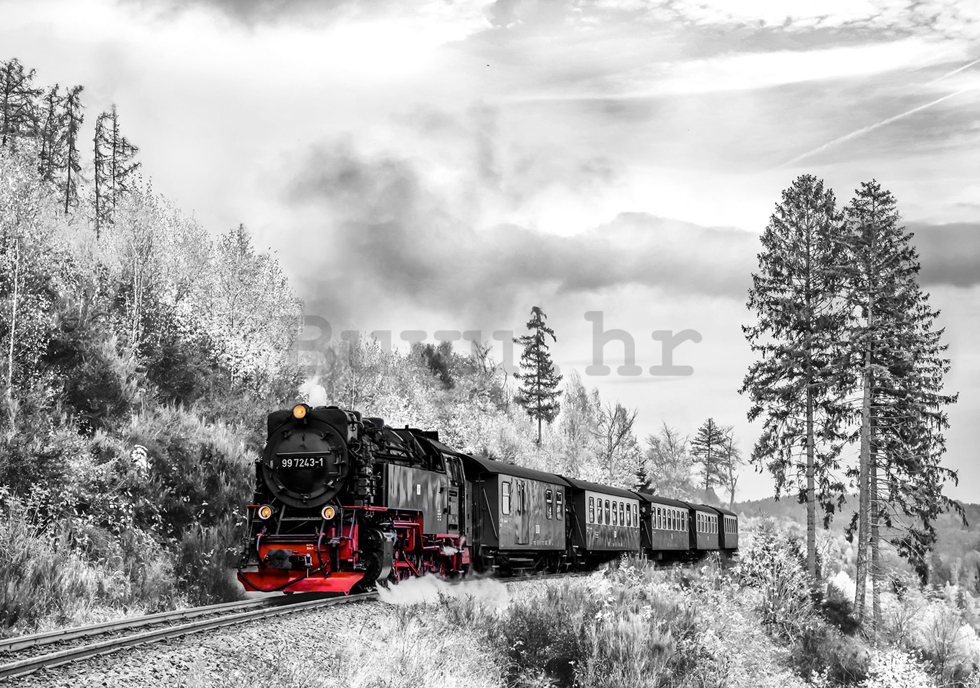 Vlies foto tapeta: Parna lokomotiva (2) - 254x368 cm