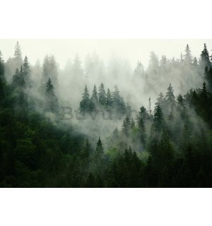 Vlies foto tapeta: Magla iznad šume (1) - 184x254 cm