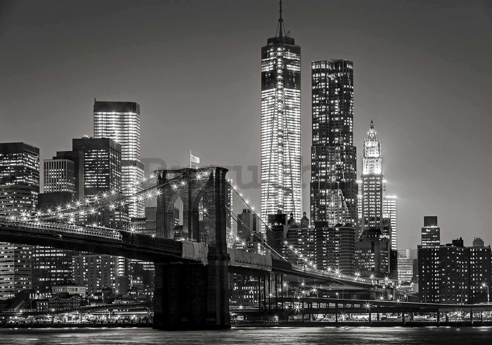 Vlies foto tapeta: Brooklyn Bridge (4) - 254x368 cm