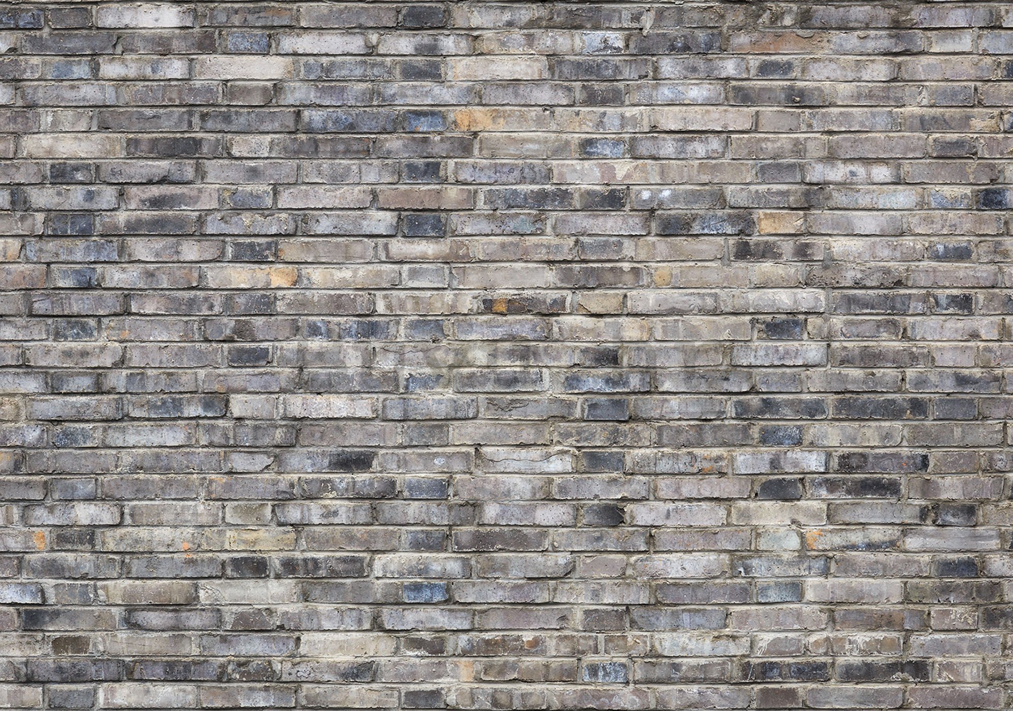 Vlies foto tapeta: Cigleni zid (5) - 184x254 cm