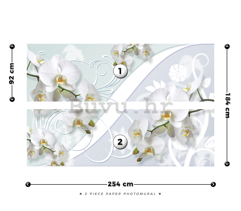 Foto tapeta: Bijela orhideja (uzorak) - 184x254 cm
