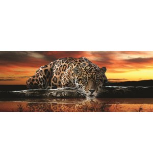 Foto tapeta: Jaguar - 104x250 cm