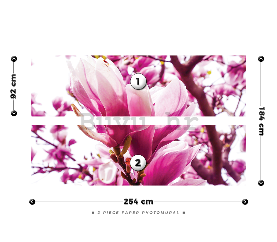 Foto tapeta: Ružičasta magnolija - 184x254 cm