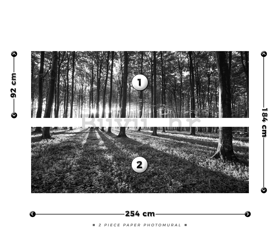 Foto tapeta: Crno-bijela šuma (1) - 184x254 cm