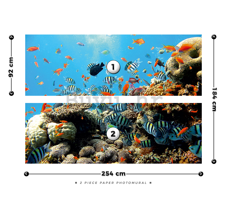 Foto tapeta: Koraljni greben - 184x254 cm