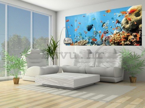 Foto tapeta: Koraljni greben - 104x250 cm