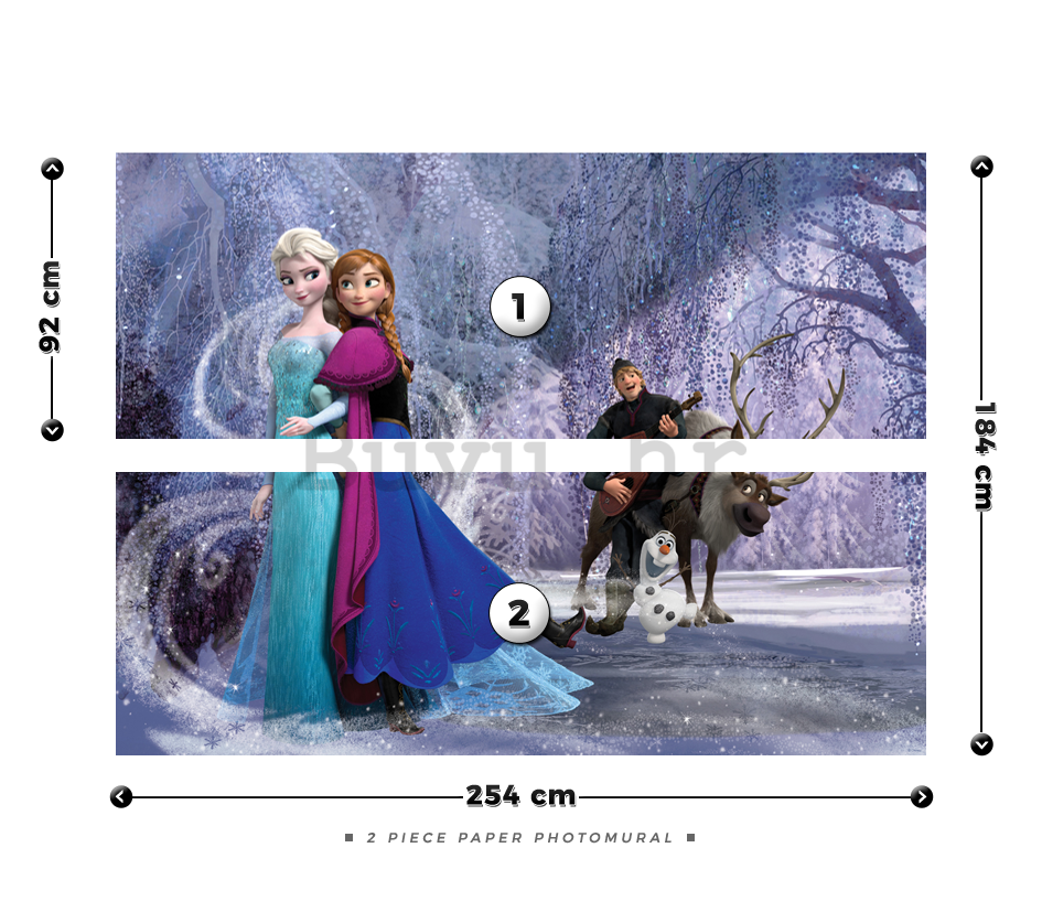 Foto tapeta: Frozen (7) - 184x254 cm