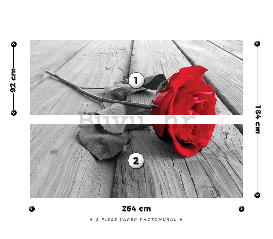 Foto tapeta: Crvena ruža - 184x254 cm