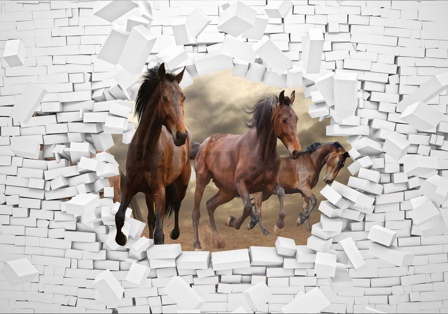 Foto tapeta: Konji u zidu - 184x254 cm