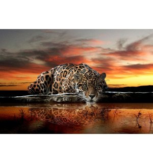 Slika na platnu: Jaguar - 75x100 cm
